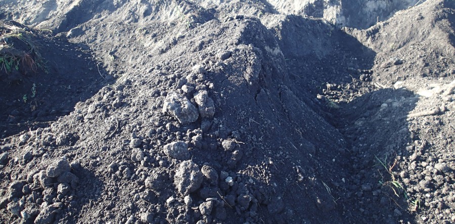 Humus – ziemia niesortowana